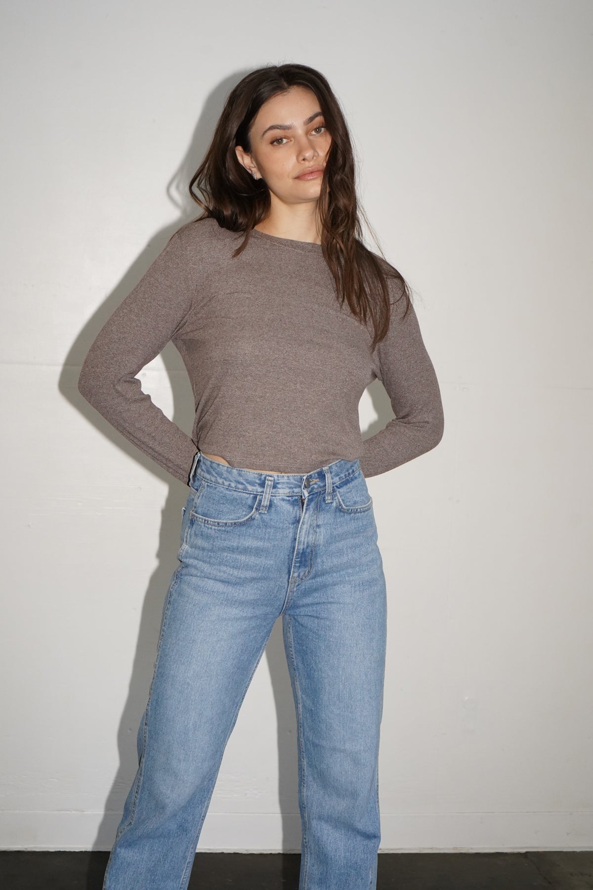 LNA Ribbed Long Sleeve Crew in Rocky Road Brown